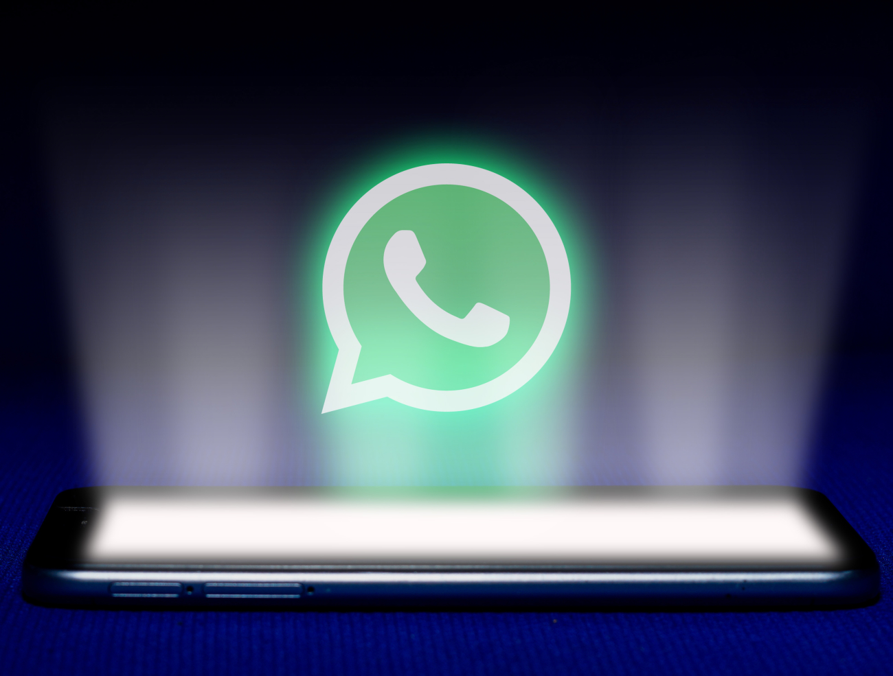 whatsapp for business bari